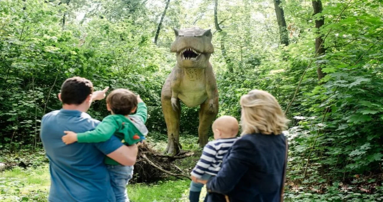 Tickets für den Tierpark Berlin: Dein umfassender Guide zum Besuch im größten Landschaftstierpark Europas 2 berlin tickets for the tierpark in east berlin